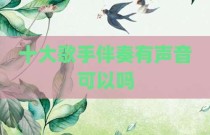 十大歌手伴奏有声音可以吗