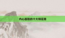 内心孤独的十大特征男
