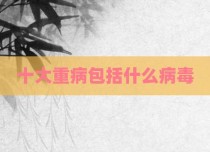十大重病包括什么病毒