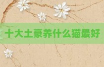 十大土豪养什么猫最好