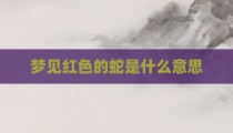 梦见红色的蛇是什么意思