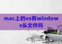 mac上的vs有windows头文件吗