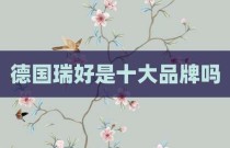德国瑞好是十大品牌吗