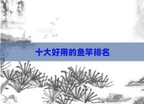 十大好用的鱼竿排名