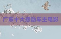 广东十大感动车主电影