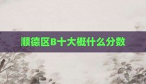 顺德区B十大概什么分数