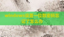 windows设置一位数密码忘记了怎么办