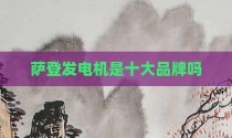 萨登发电机是十大品牌吗