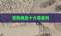 弥勒佛是十大尊者吗