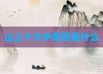 山上十大中草药是什么