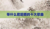 等什么君超燃的十大歌曲