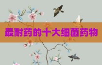 最耐药的十大细菌药物