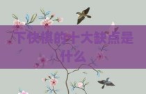 下快棋的十大缺点是什么