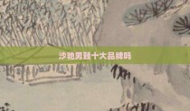 沙驰男鞋十大品牌吗
