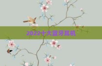 2022十大蓝牙耳机