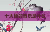 十大梗的音乐是什么