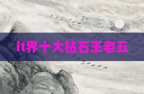 it界十大钻石王老五