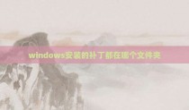 windows安装的补丁都在哪个文件夹