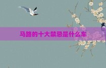 马路的十大禁忌是什么车