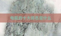 电瓶的十大排名是什么