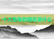十大恐怖的烟花是什么