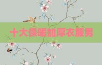 十大保暖加厚衣服男
