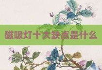 磁吸灯十大缺点是什么