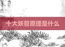十大妖管原理是什么