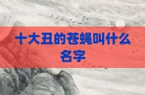十大丑的苍蝇叫什么名字