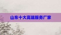 山东十大高端服务厂家