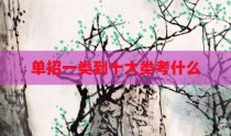 单招一类到十大类考什么