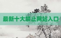 最新十大禁止网站入口