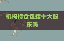 机构持仓包括十大股东吗