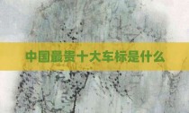 中国最贵十大车标是什么
