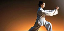 世界公认十大武功是什么