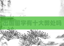出国留学有十大弊处吗