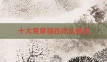 十大专家现在什么情况