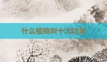 什么植物叫十大功效