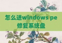 怎么进windows pe修复系统盘