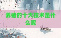 养猪的十大技术是什么呢
