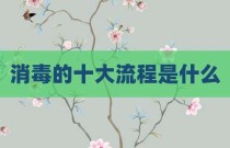 消毒的十大流程是什么