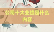 公司十大业绩是什么内容
