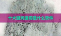 十大游戏漏洞是什么软件