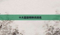 十大超级特种兵排名