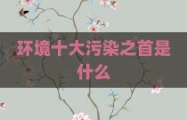环境十大污染之首是什么