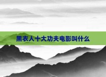 黑衣人十大功夫电影叫什么
