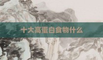 十大高蛋白食物什么