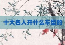 十大名人开什么车型的