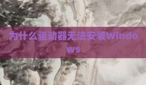 为什么驱动器无法安装Windows