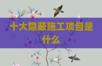 十大隐蔽施工项目是什么